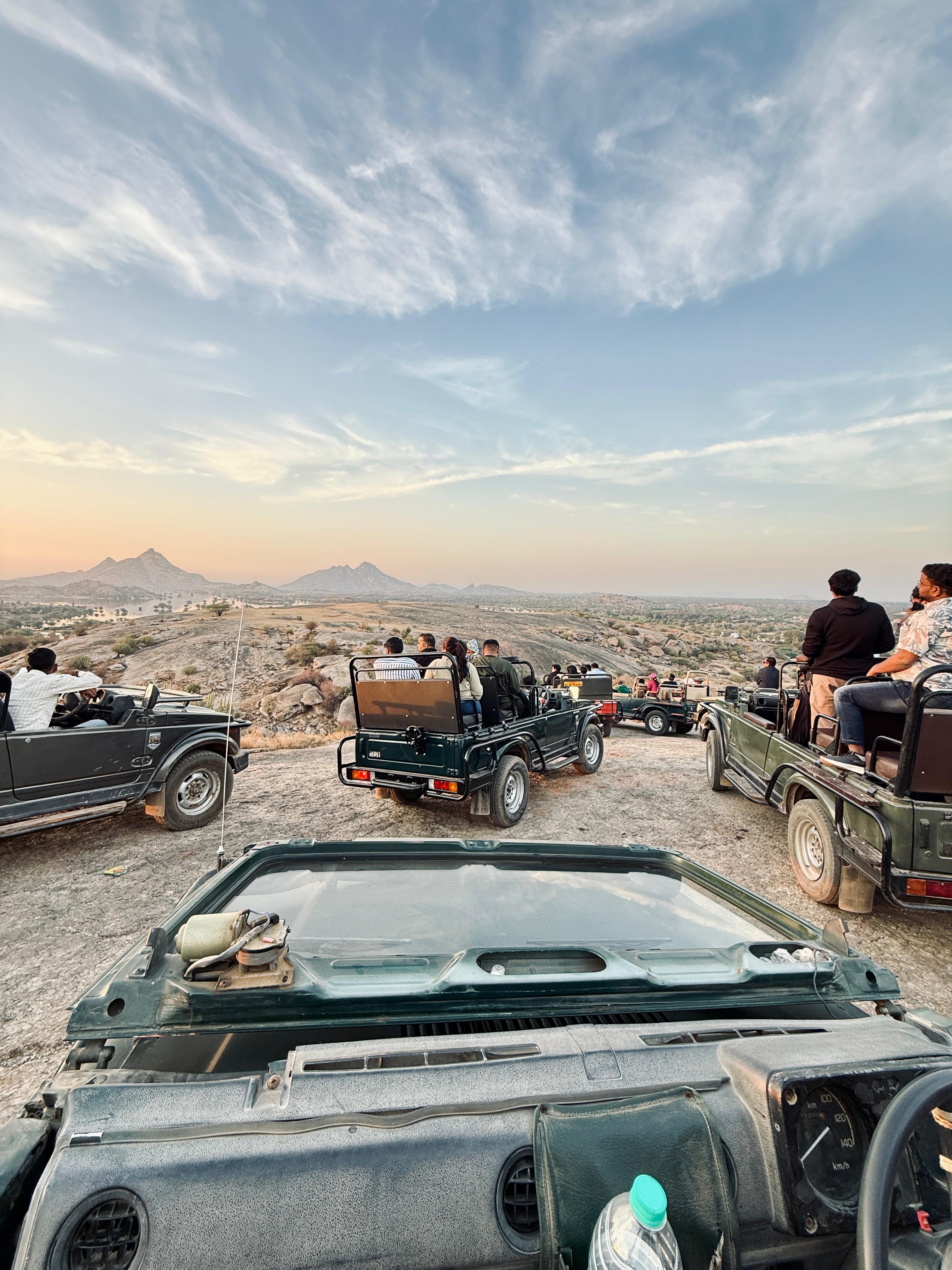 Stunning glimpses of wildlife, scenic landscapes, and unforgettable jawai leopard safari experiences in jawai rajasthan.