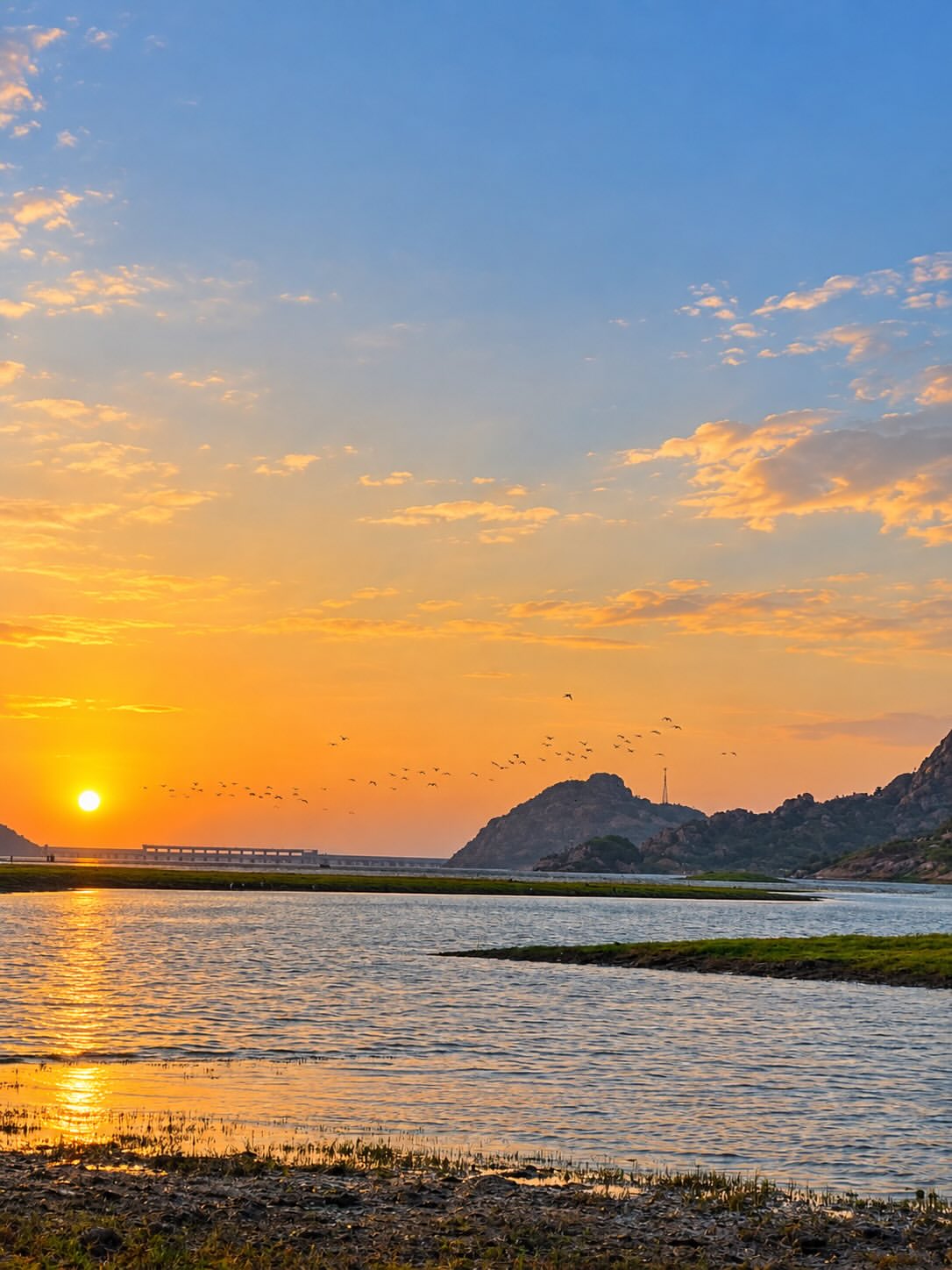 Stunning glimpses of wildlife, scenic landscapes, and unforgettable jawai leopard safari experiences in jawai rajasthan.