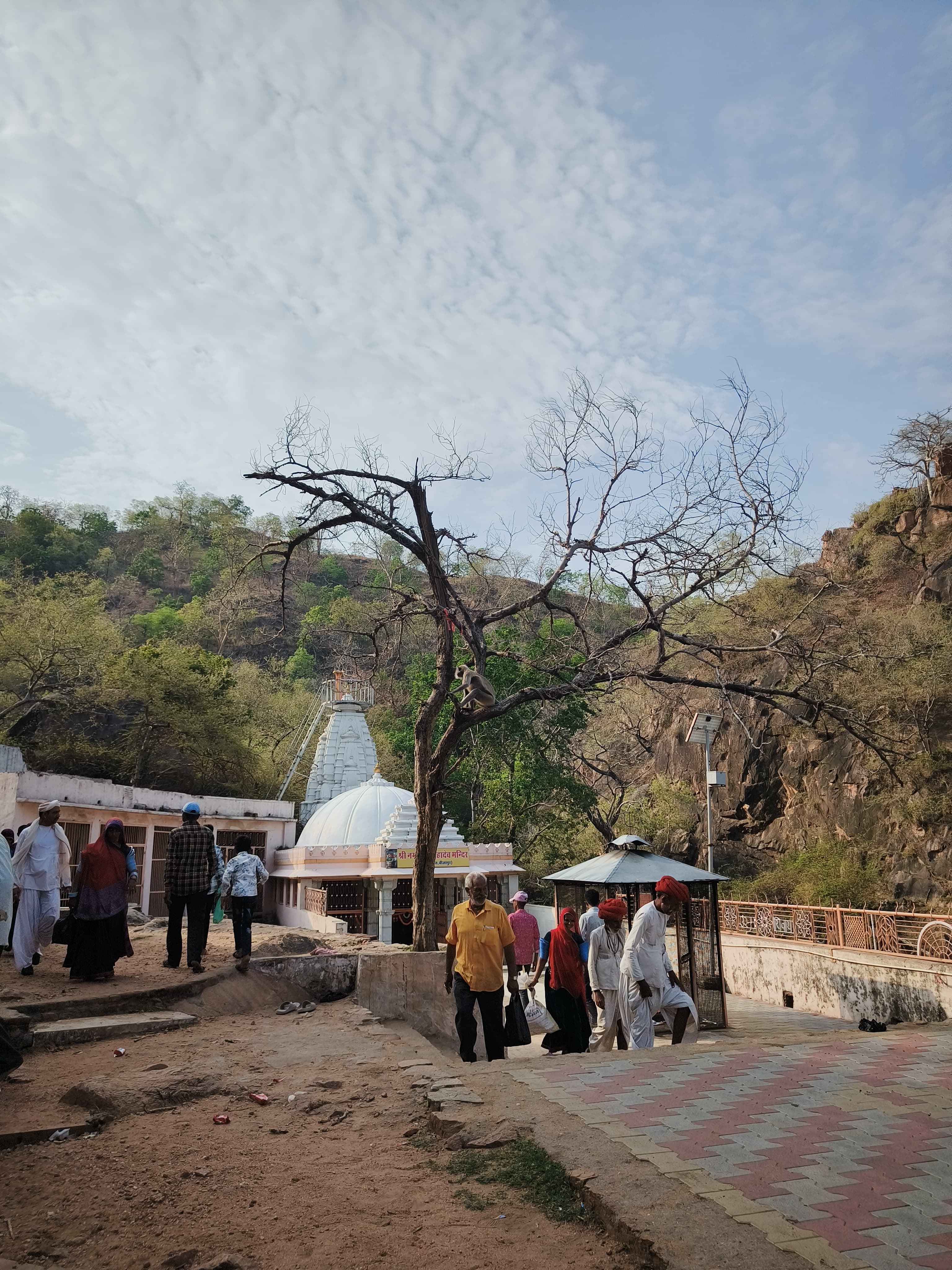 Mahadev Mandir Safari