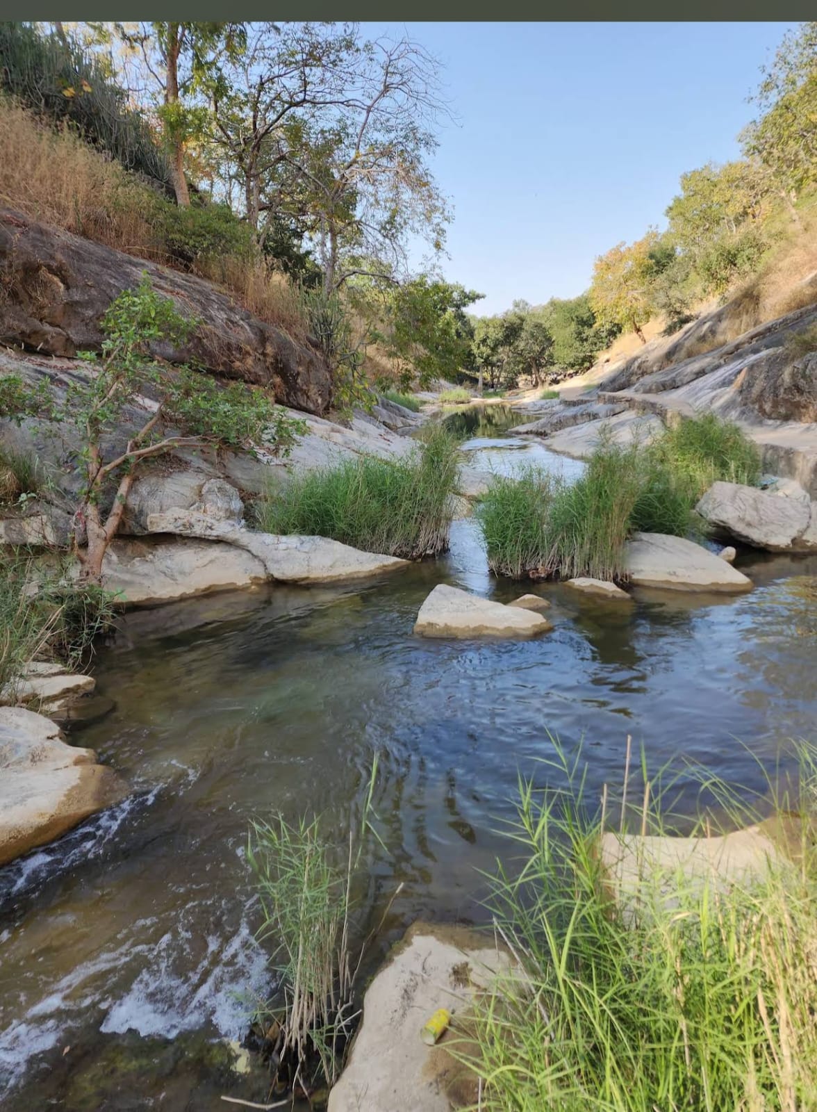 Mahadev Mandir Safari