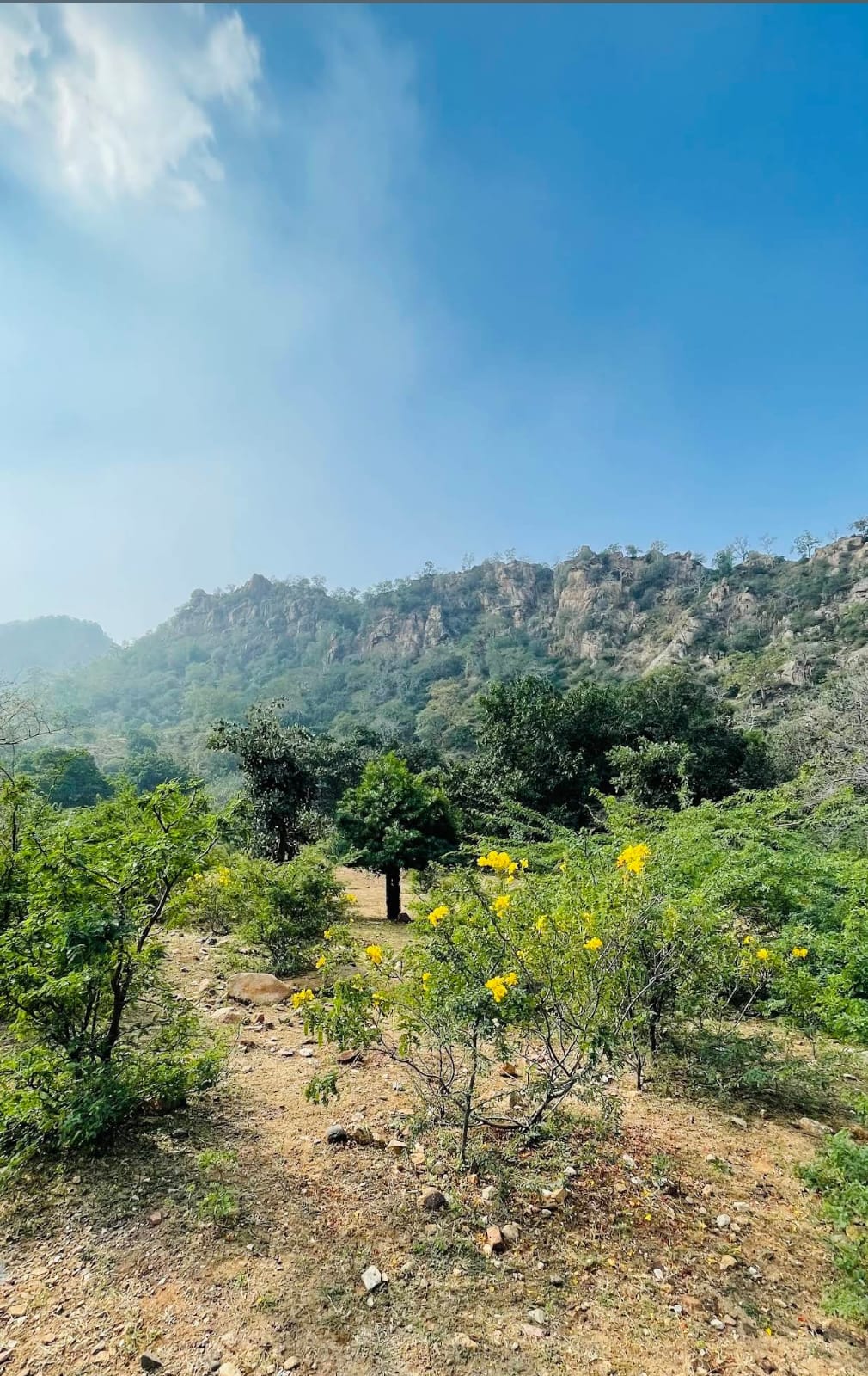 Mahadev Mandir Safari
