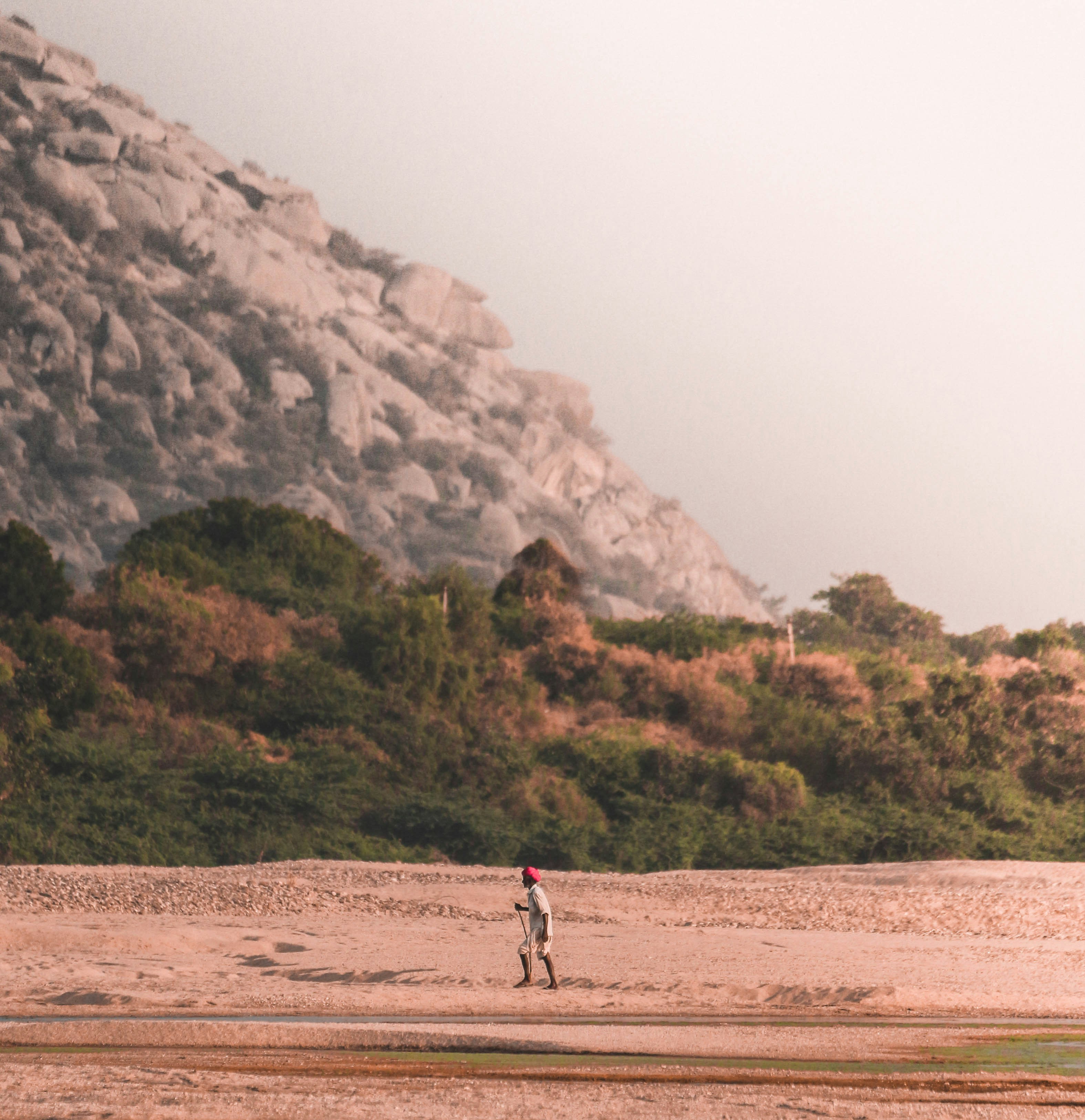 Combo Safari  (morning+evening)
