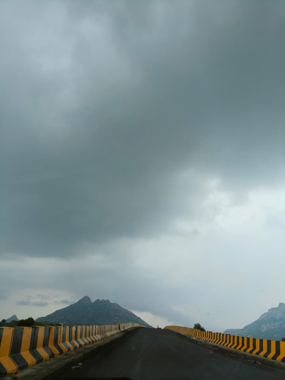 JAWAI LEOPARD SAFARI