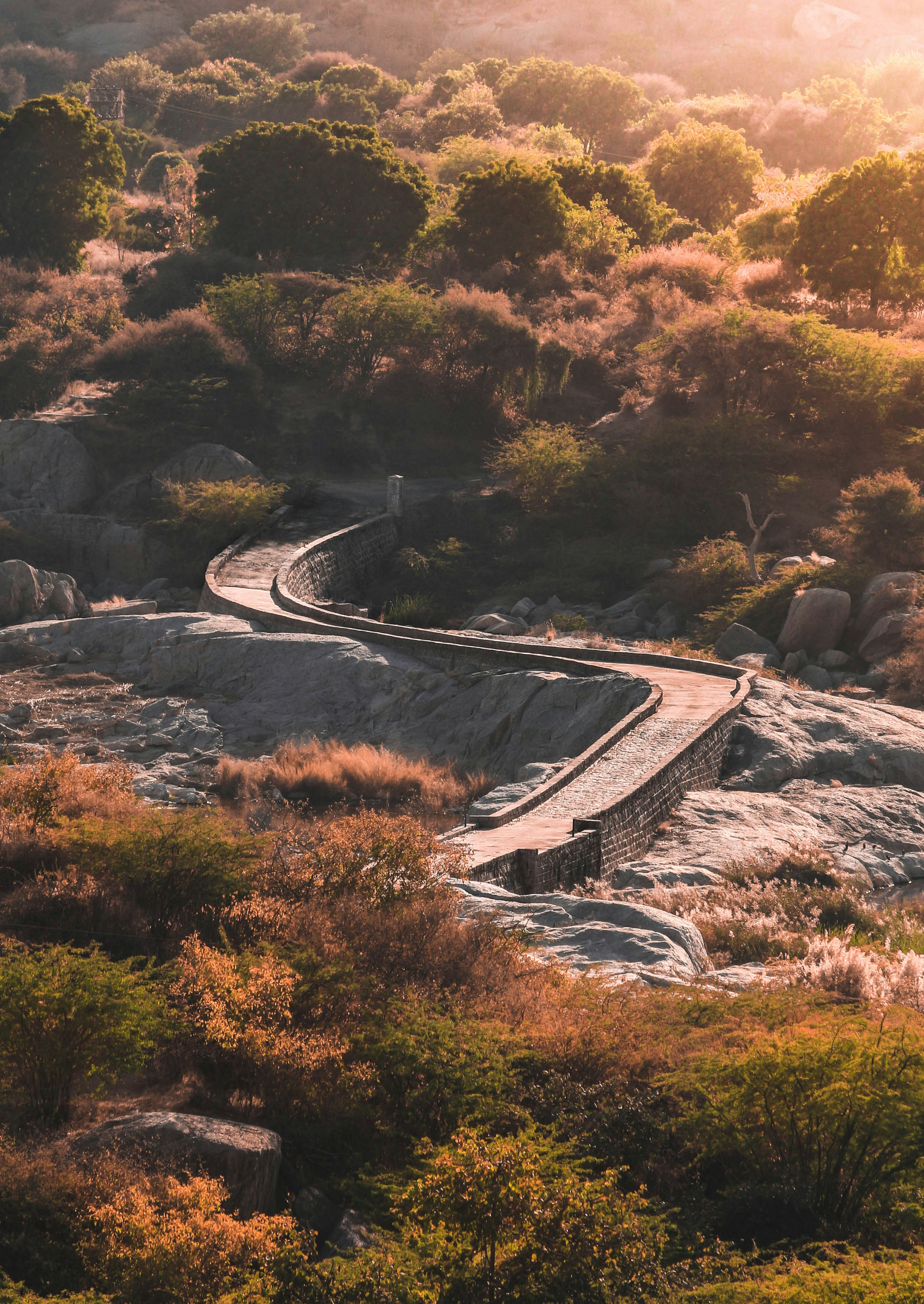 JAWAI LEOPARD SAFARI